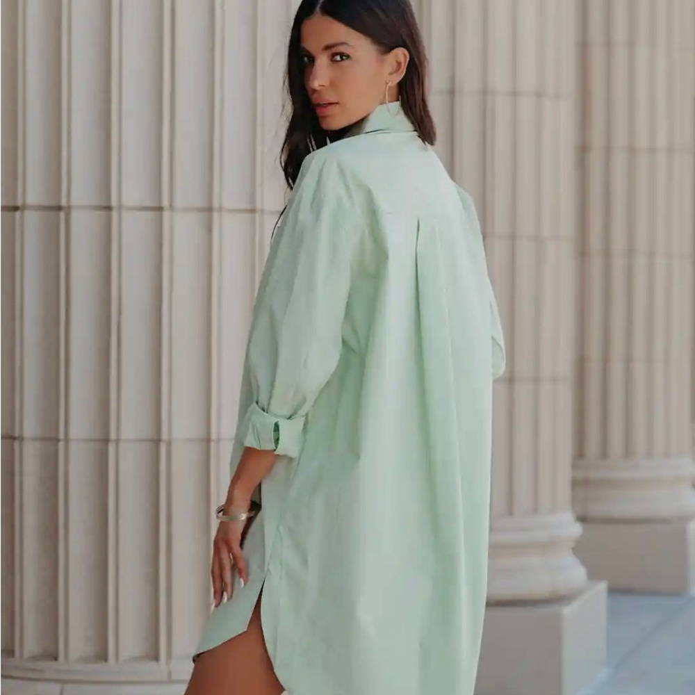 VICI: Harmony Cotton Button Down Shirt Dress - Pistachio - Medium - LIKE NEW - Picture 2 of 8